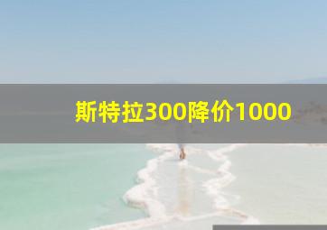 斯特拉300降价1000