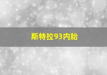 斯特拉93内胎