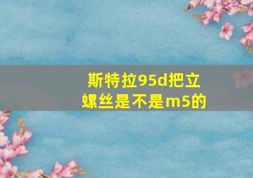 斯特拉95d把立螺丝是不是m5的