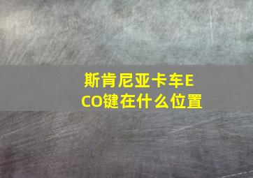 斯肯尼亚卡车ECO键在什么位置