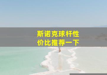 斯诺克球杆性价比推荐一下