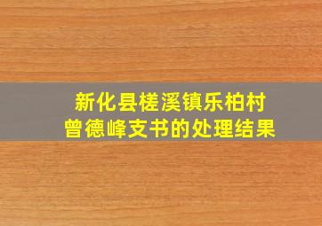 新化县槎溪镇乐柏村曾德峰支书的处理结果