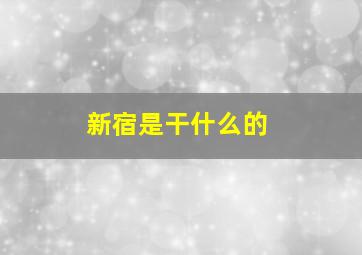 新宿是干什么的