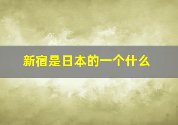 新宿是日本的一个什么