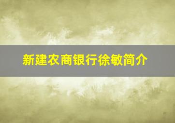 新建农商银行徐敏简介