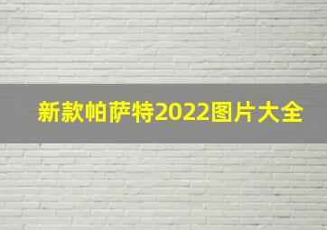 新款帕萨特2022图片大全