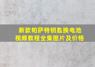 新款帕萨特钥匙换电池视频教程全集图片及价格