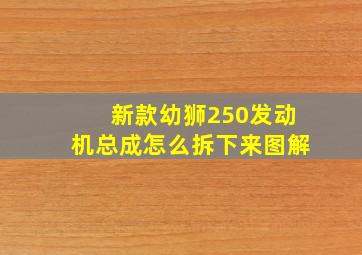 新款幼狮250发动机总成怎么拆下来图解