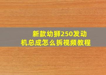 新款幼狮250发动机总成怎么拆视频教程