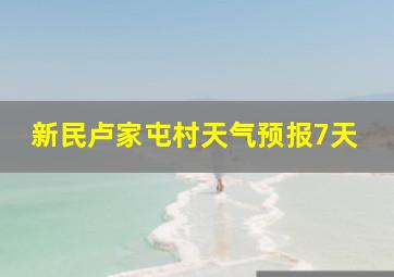 新民卢家屯村天气预报7天