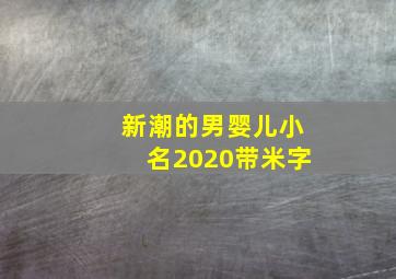 新潮的男婴儿小名2020带米字