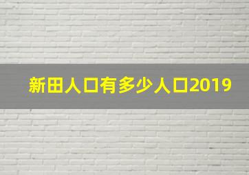 新田人口有多少人口2019