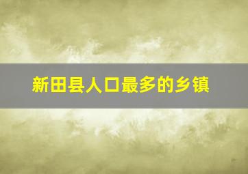 新田县人口最多的乡镇