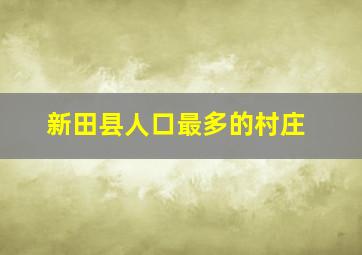 新田县人口最多的村庄