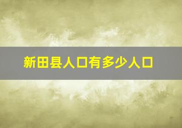 新田县人口有多少人口