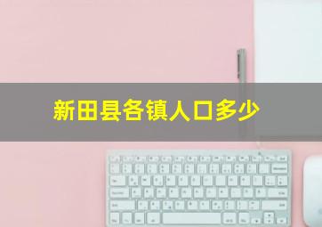 新田县各镇人口多少