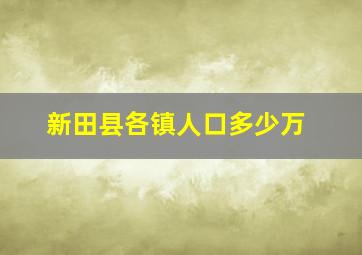 新田县各镇人口多少万