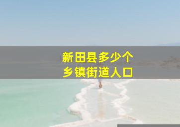 新田县多少个乡镇街道人口