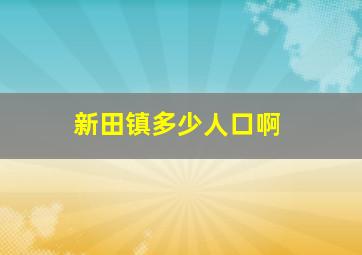 新田镇多少人口啊