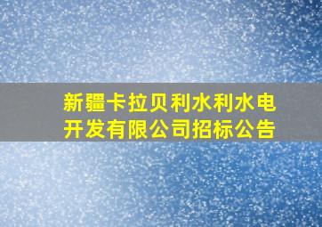 新疆卡拉贝利水利水电开发有限公司招标公告