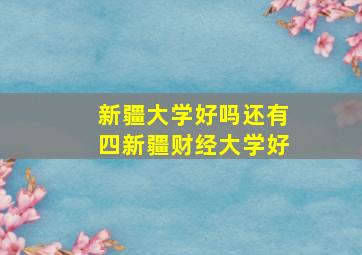 新疆大学好吗还有四新疆财经大学好