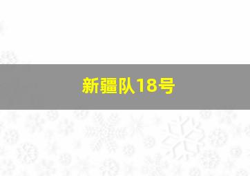 新疆队18号