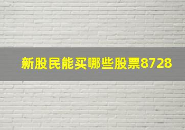 新股民能买哪些股票8728