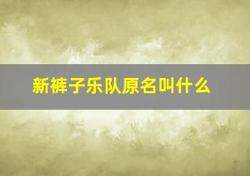 新裤子乐队原名叫什么