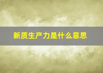 新质生产力是什么意思