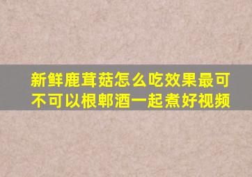 新鲜鹿茸菇怎么吃效果最可不可以根郫酒一起煮好视频