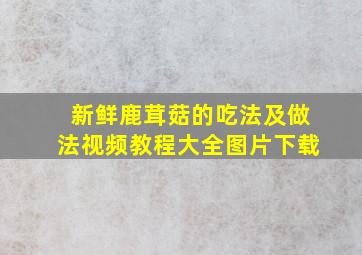 新鲜鹿茸菇的吃法及做法视频教程大全图片下载