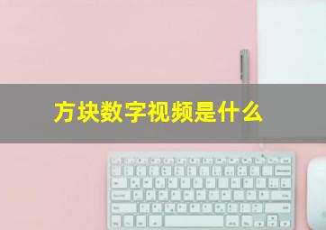 方块数字视频是什么