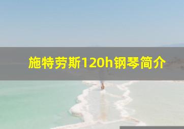 施特劳斯120h钢琴简介