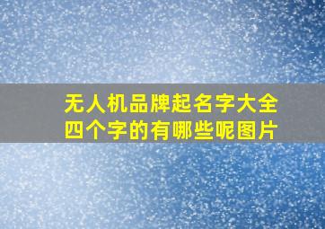 无人机品牌起名字大全四个字的有哪些呢图片