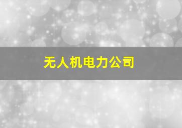 无人机电力公司