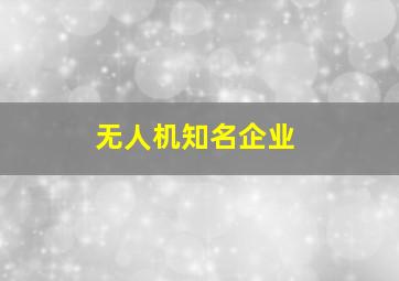 无人机知名企业