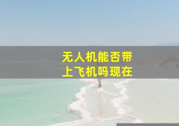 无人机能否带上飞机吗现在