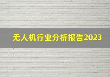 无人机行业分析报告2023