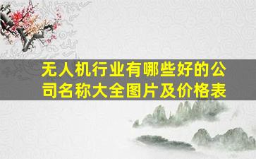 无人机行业有哪些好的公司名称大全图片及价格表