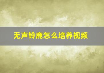 无声铃鹿怎么培养视频