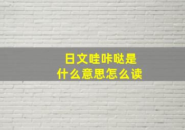 日文哇咔哒是什么意思怎么读