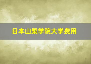 日本山梨学院大学费用