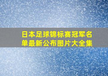 日本足球锦标赛冠军名单最新公布图片大全集