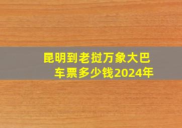 昆明到老挝万象大巴车票多少钱2024年