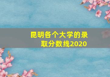 昆明各个大学的录取分数线2020