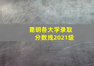 昆明各大学录取分数线2021级