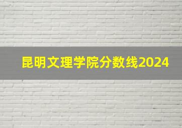 昆明文理学院分数线2024