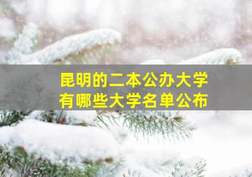 昆明的二本公办大学有哪些大学名单公布