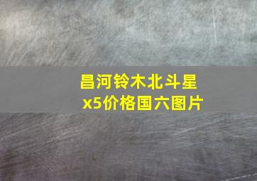 昌河铃木北斗星x5价格国六图片