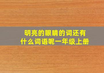 明亮的眼睛的词还有什么词语呢一年级上册